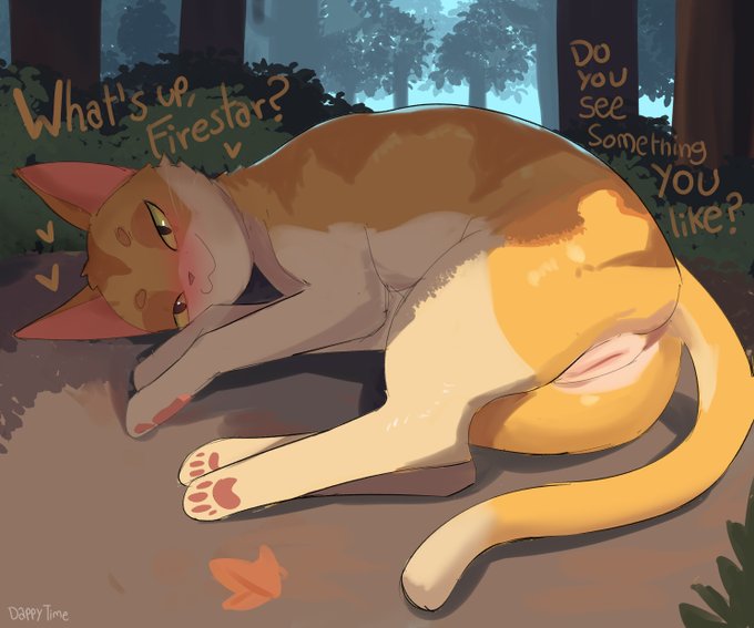 My Page Library Preview