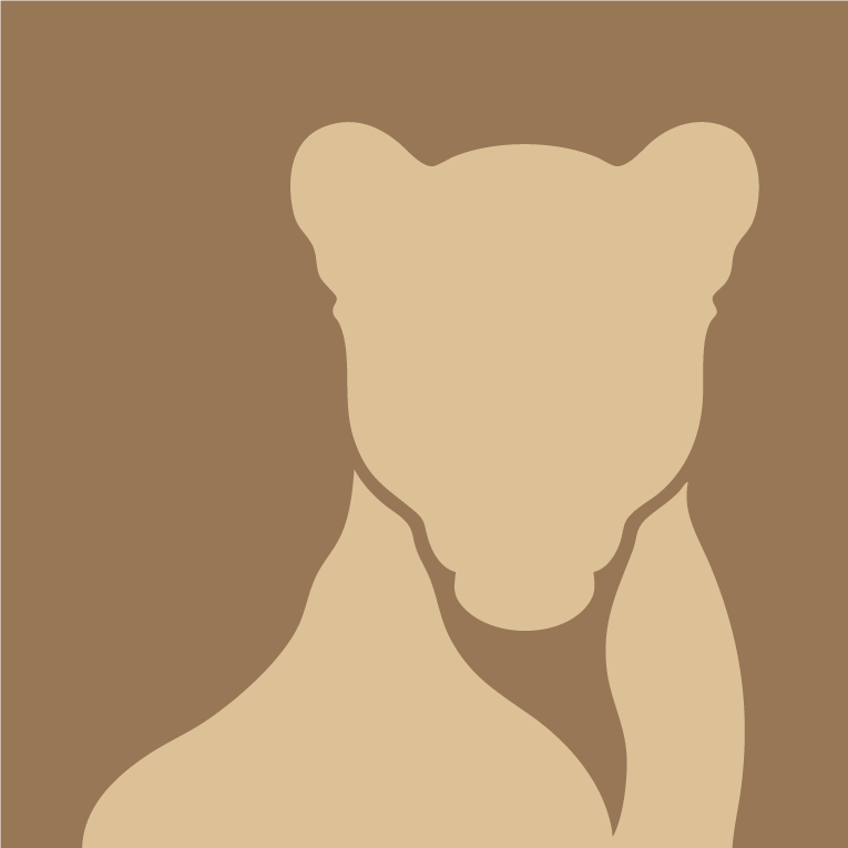 Lioness